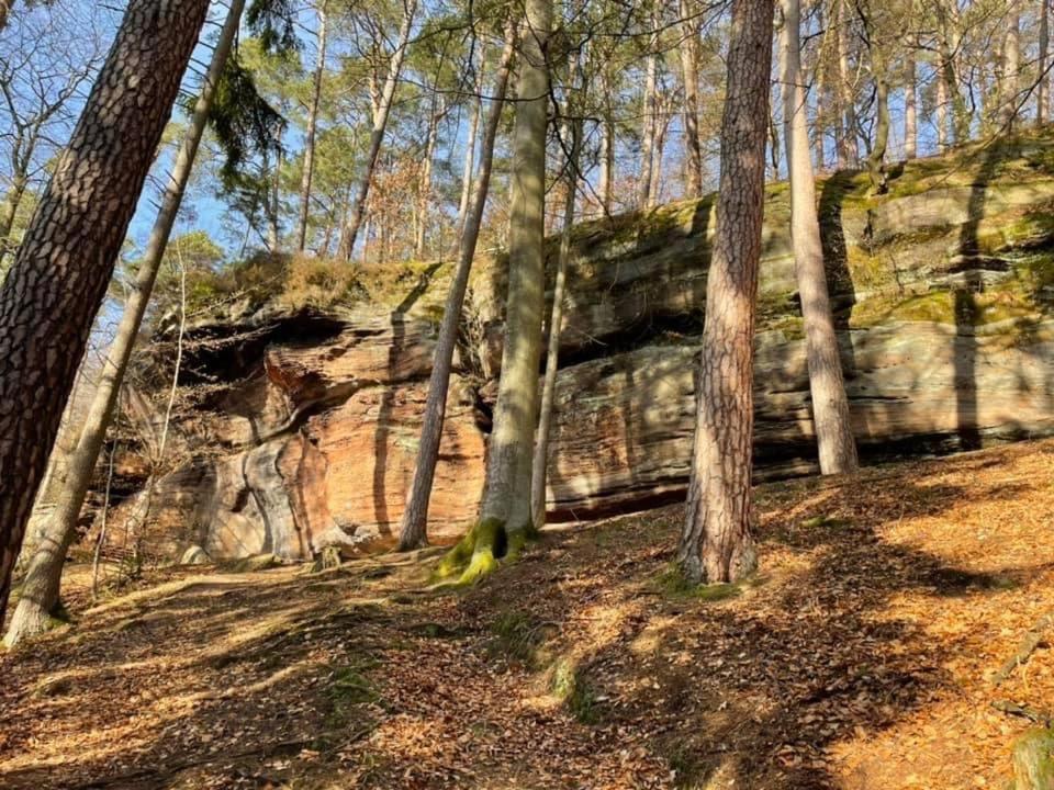 Ferienwohung Am Felsenwanderweg Im Pfaelzerwald Apartment Rodalben Exterior photo